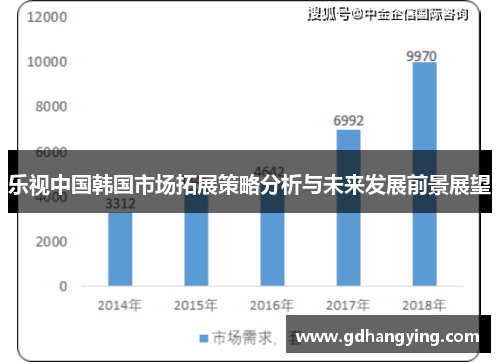 乐视中国韩国市场拓展策略分析与未来发展前景展望